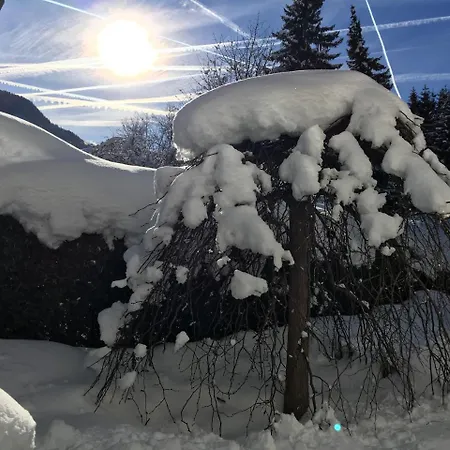 Impuls | Apart Gabriele 公寓 *