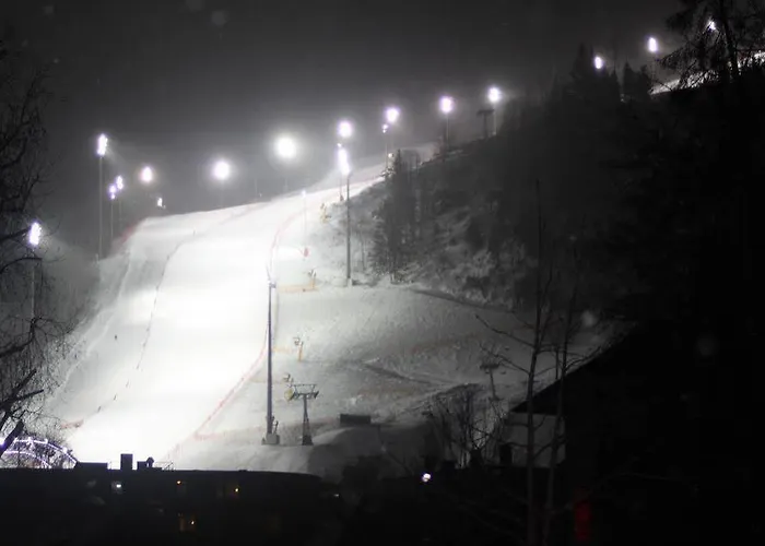 Impuls | Apart Gabriele * 斯拉德明