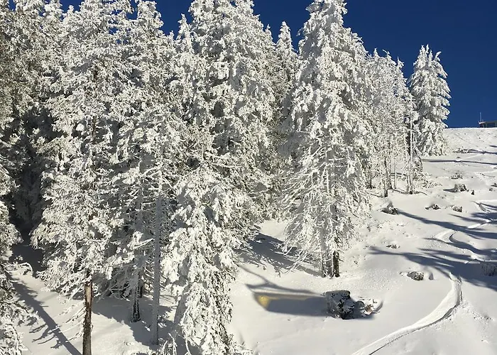 Impuls | Apart Gabriele 公寓