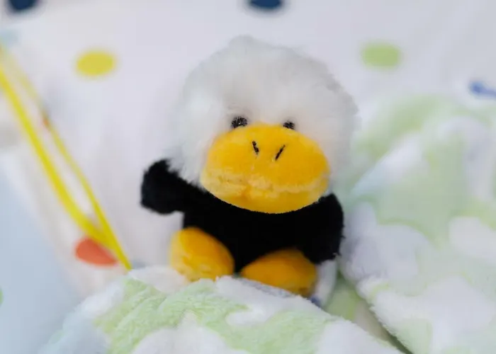 Impuls | Apart Gabriele 公寓 *